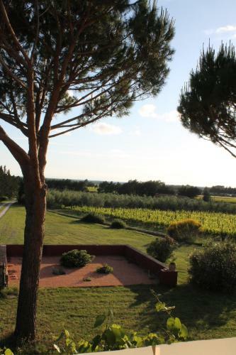 Apartamento Le Grascete