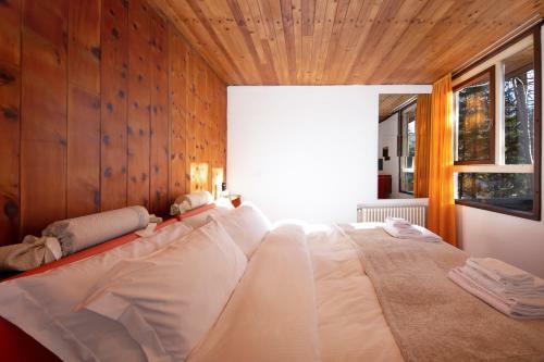 Chalet Dolomiti