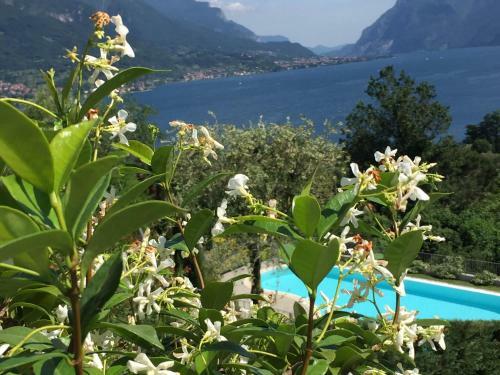 Apartamento Maison Casa Lavanda