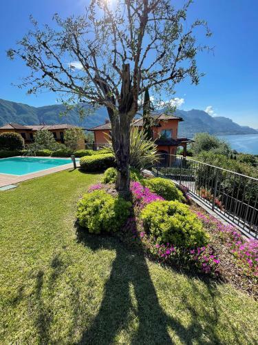 Apartamento Maison Casa Lavanda