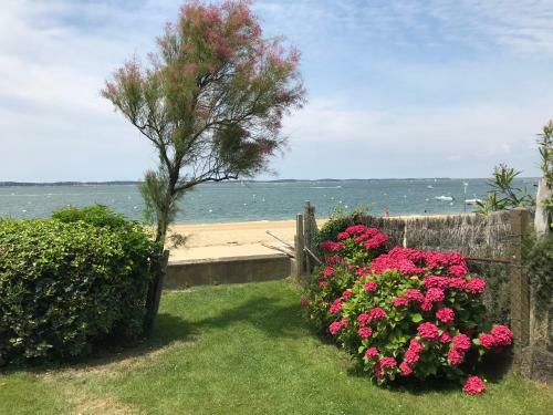 Apartamento Arcachon Pereire Bord de Plage