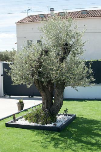 L'olivier, Villa Climatis�e, Piscine Et Parking