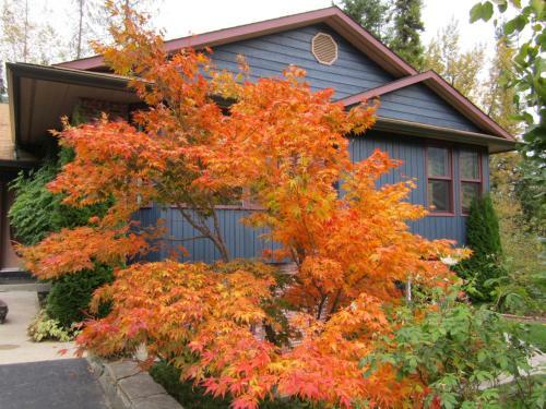 Creekside B&B