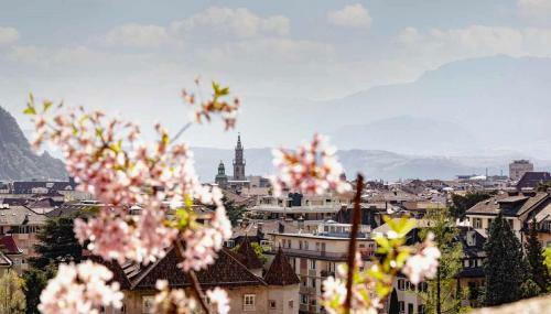Apartamento App 2 Palazzo Cavour