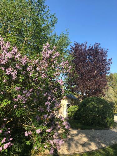 Hostal Le Baptist�re - Adults Only