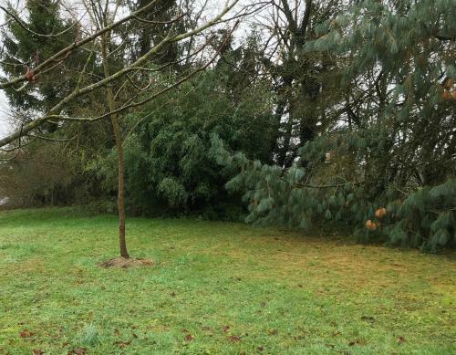 Gite de La C�te Au Loup