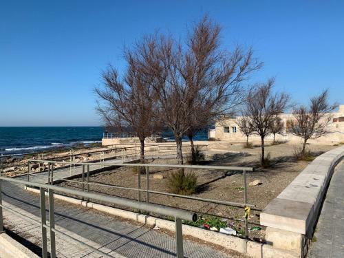 Divi Bed & Breakfast