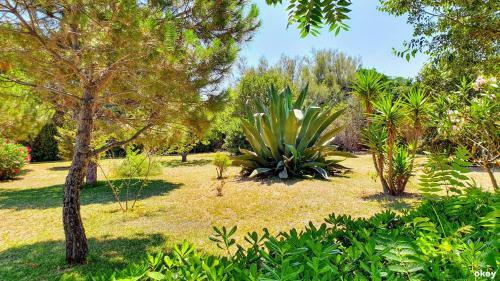 Villa Mistral - Bari Japigia