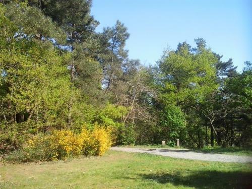 G�te Du Jardin