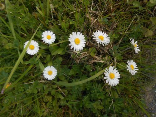G�te Du Jardin