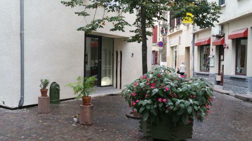 Apartamentos Le Clos St Louis