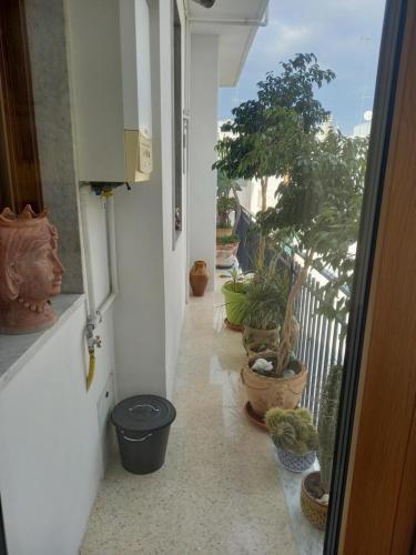 Apartamento Confortevole
