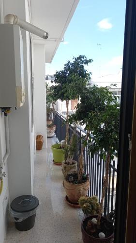 Apartamento Confortevole