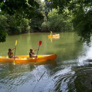 Le Troglo Des Renaudi�res