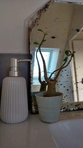 Bed & Breakfast Oasis De Baden