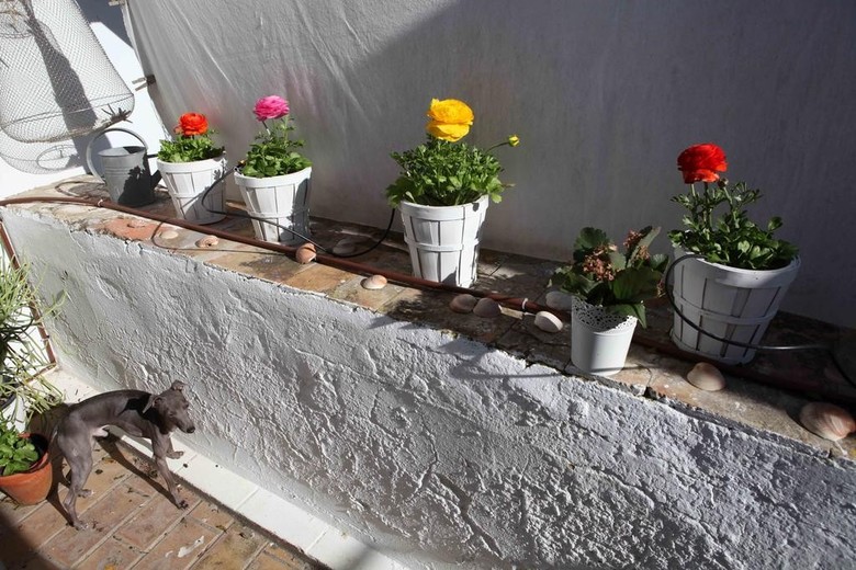 Apartamento La Casita De La Playa