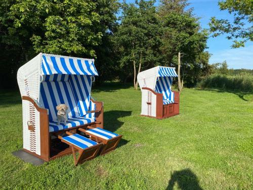 Apartamento Zingst Haus Hugo
