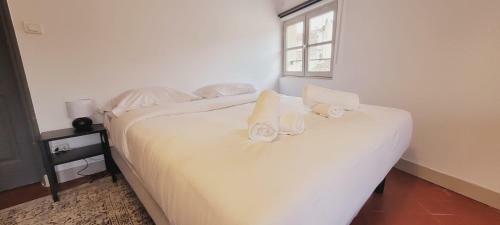 Apartamento Avignon Pedestrian Center Large And Bright Appt