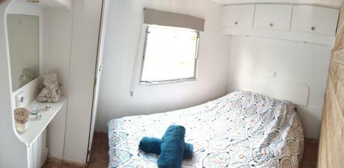 Tiny House En Campagne