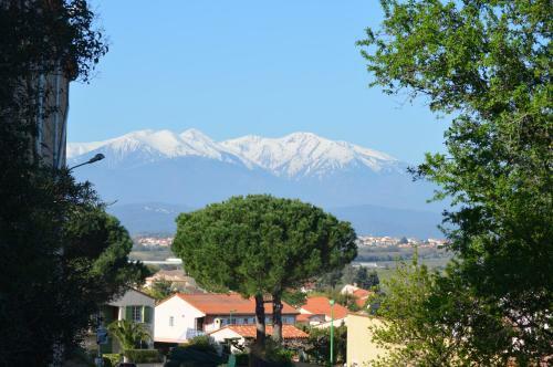 Hostal Le Jardin de L'olivier