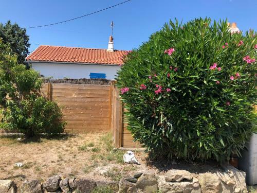 Chez P�p�