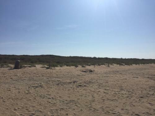 Chez P�p�