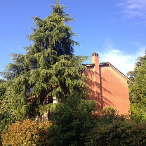 B&B Il Picchio