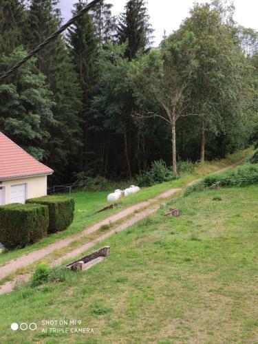 Hostal L'ecureuil