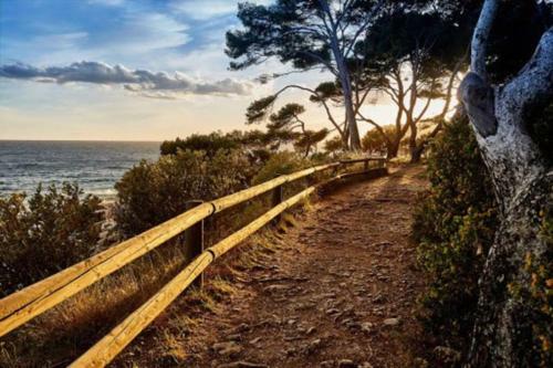 Apartamento Studio Bandol 4 Personnes � 50m de La Plage