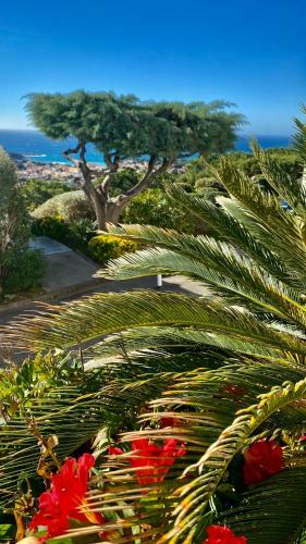Apartamento Superbe Appartement Vue Mer Et Piscine