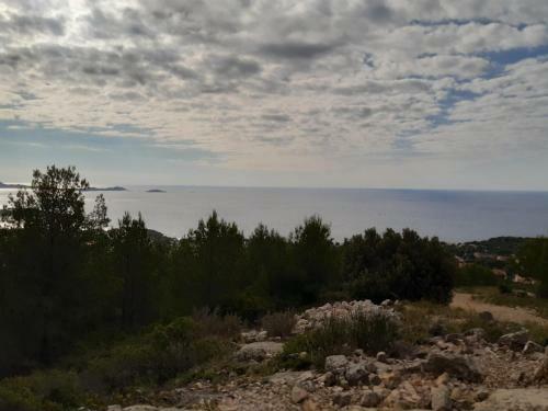 Chant Des Cigales