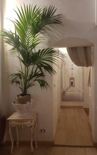 Hostal Stella Del Mar S.stefano