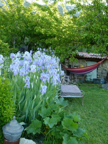 Bed & Breakfast Gite Campagnard