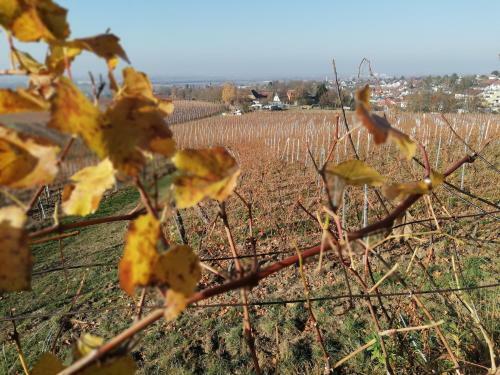 Apartamento Marbacher Hof 1