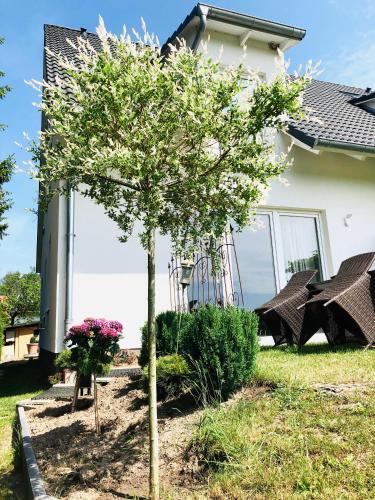 Apartamento Haus St�rtebeker No.2