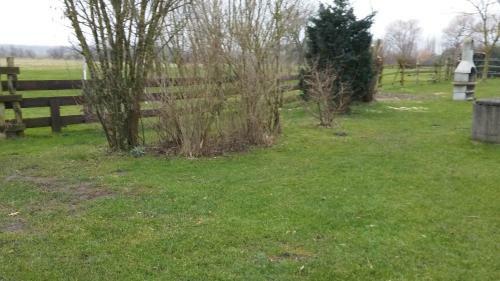 Apartamento Ferienwohnung Hahn