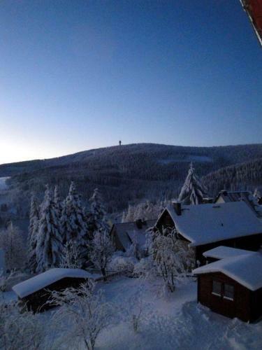 Apartamento Ferienhaus-bergtraum-ferienwohnung-lilli
