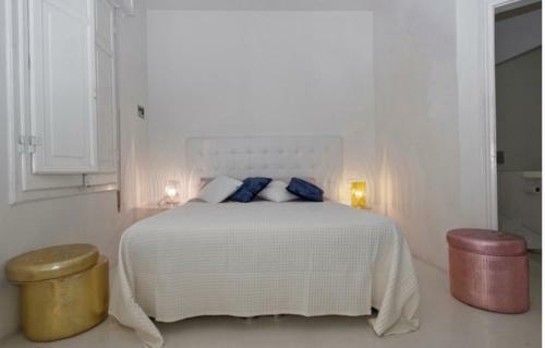 Bed & Breakfast Domus Dotta