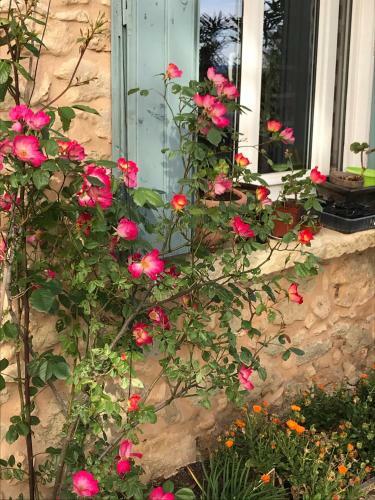 Bed & Breakfast Oustau Du Ventoux