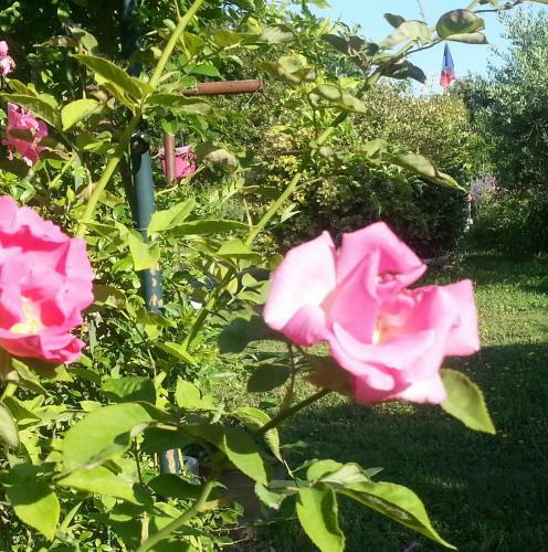Bed & Breakfast Chambres D'h�tes de Curnier