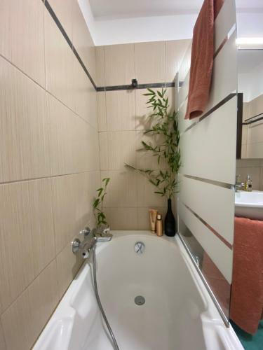 Apartamento Appartement Dolce Farniente