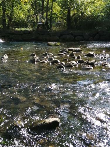 Location Maison Meubl�e Belvianes Et Cavirac