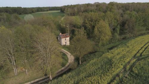 L'appel De La For�t 51