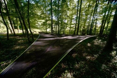 L'appel De La For�t 51