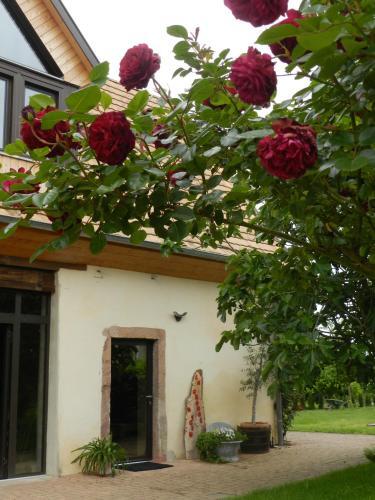 Apartamentos G�te Autonome, La Grange A Foin, Piscine !
