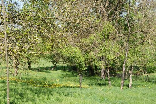 Apartamento Appartement Petite Vall�e