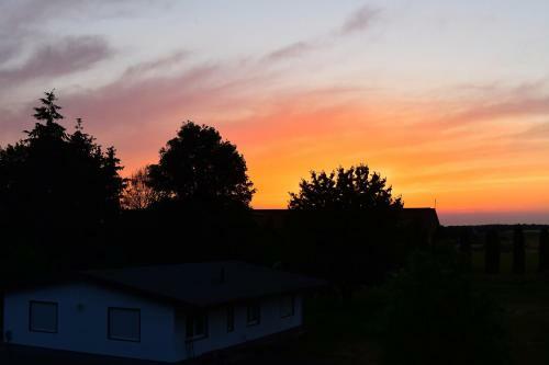 Behaglicher Bungalow F�r Mensch Und Hund