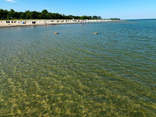 Apartamento Ostsee Residenz Meeresblick Albatros