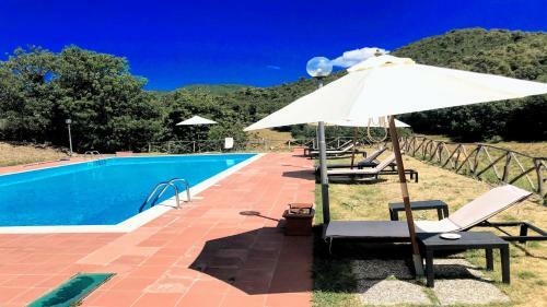Villa Vallocchia - Sleeps 18 Exclusive Poolgrounds Spoleto 10 Mins Rome 1 Hr