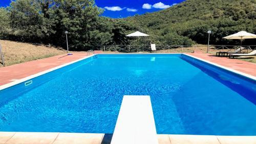Villa Vallocchia - Sleeps 18 Exclusive Poolgrounds 4